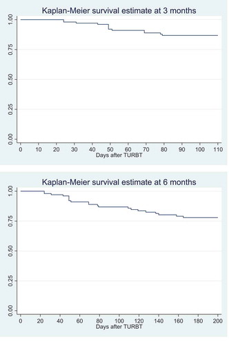 Figure 2. Kaplan–Meier survival estimates at 3 and 6 months