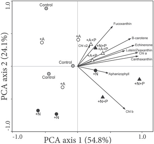 FIGURE 6. Principal components analysis (PCA) showing patterns of variation in concentrations of photosynthetic pigments in the benthic biofilm (upper 1 cm of sediment) of the microcosms 72 h after receiving one of four different nutrient treatments (+A treatment, +A+P treatment, +N treatment, and +N+P treatment) or an experimental control (no nutrient amendment). Three independent replicates were run for each nutrient amendment and control.