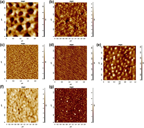 Figure 3 AFM height images of graft copolymer films spin coated from 1 mg/ml solutions in THF. Film thicknesses were ∼10 nm. (a) G1, (b) G2, (c) G3, (d) G5, (e) G6, (f) G7, (g) G8.