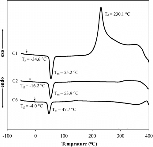 Figure 5 DSC curves for crosslinked copolymers.