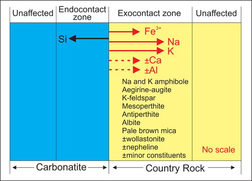 Figure 9. Schematic representation of bi-metasomatic fenitisation-type interaction between carbonatite melt and related fluids with country rock. Direction of migration of elements is indicated by arrows. Minerals commonly observed in country rock affected by fenitisation-type metasomatism are listed.
