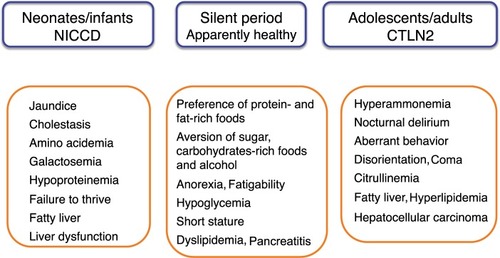 Figure 1 Age-dependent clinical phenotypes of citrin deficiency.