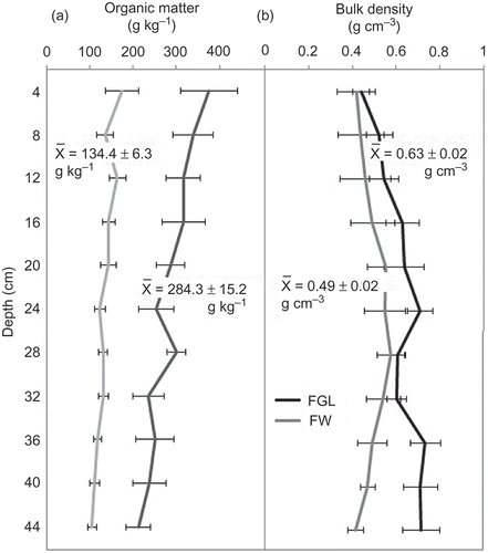 Figure 2. Profile of soil organic matter (a) and bulk density (b) in the FW (gray lines) and FGL (black lines) soils. Each point in the graph is the mean of six composite cores at 4 cm of depth. Horizontal bars represent standard errors.