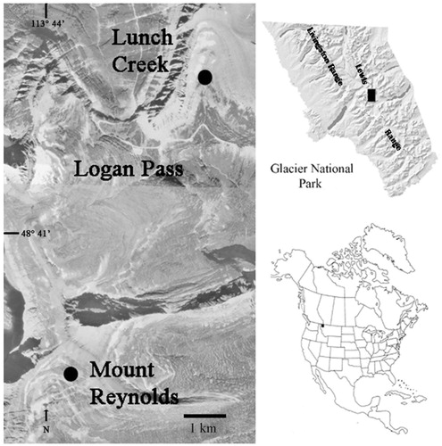 FIGURE 1. Location of Lunch Creek and Mount Reynolds study areas in Glacier National Park, Montana, U.S.A. Aerial photograph was taken in late summer, 1990. Note the snowfields just above the two sites.