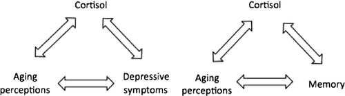 Figure 1.  Diagrams demonstrating possible directions for the relationship between cortisol, aging perceptions, memory, and depressive symptoms.