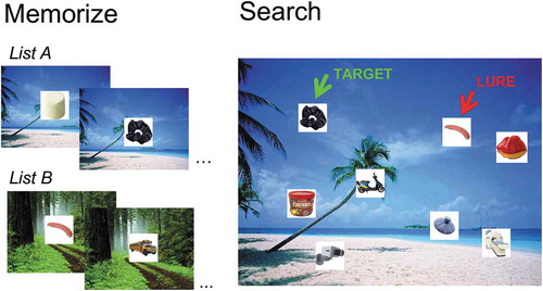 Figure 9. Procedure of the partition block in Experiment 3. Observers are exposed to 8 items presented on one background image (List A) and then 8 items presented on another background image (List B). The observers are tested to confirm that the item and the associated background image are memorized. During the search trials, the background image indicates the relevant target set to the observer. Targets from the irrelevant set could appear as lures. In the other two blocks, 8 or 16 items were presented on the same background image during learning and in the search task.