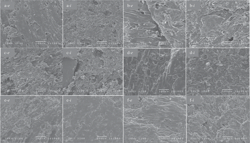 FIGURE 3 Micrographs of SEM for external (e) and internal (i) surfaces of extruded blends A: 25% Peruano, 23% moisture, 110°C; B: 25% Peruano, 23% moisture, 135°C; C: 50% Peruano, 25% moisture, 110ºC; D: 50% Peruano, 25% moisture, 135ºC; E: 50% black-Querétaro, 25% moisture, 110ºC; F: 50% black-Querétaro, 25% moisture, 135ºC.