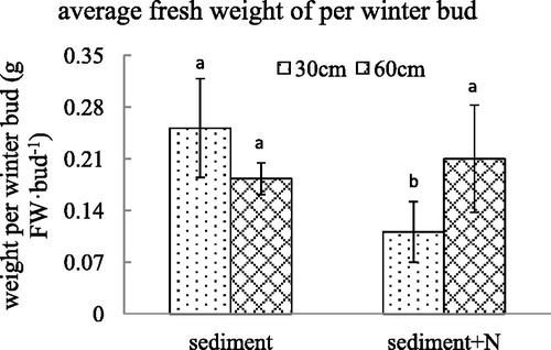 Figure 7. The fresh weight per winter bud (mean ± SE) of V. spinulosa growing on different sediments at two water depths. Different small letters above columns indicate significant differences between treatments.
