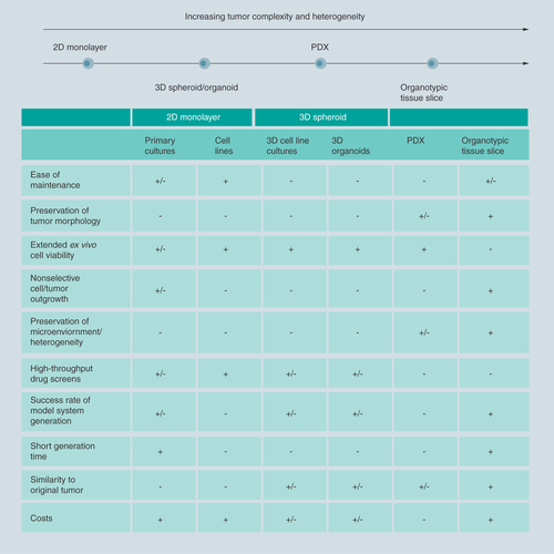 Figure 1.  Comparison of ex vivo tumor culture techniques.Fresh viable tumor tissue can be preserved and cultured ex vivo in several ways, each having its own advantages and disadvantages. A tumor sample can be dissociated using enzymatic and/or mechanical methods and subsequently cultured either as a 2D monolayer or in a 3D tumor spheroid culture. To mimic the in vivo situation as much as possible, dissected tumor samples can be implanted in immunodeficient mice to generate patient-derived xenograft models. Organotypic tumor tissue slices can be generated by precision slicing of a tumor specimen, keeping general tumor/tissue architecture intact.+: Advantages of the method; -: Disadvantages of the method.