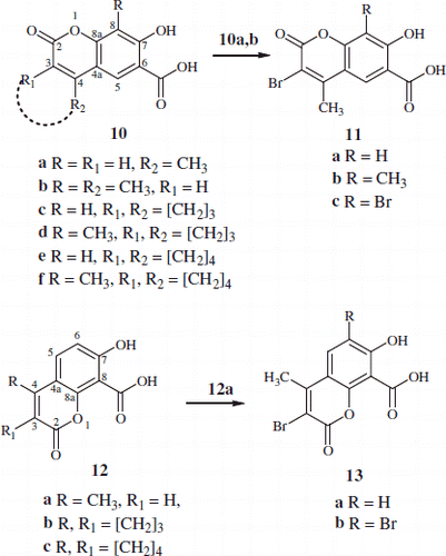 Scheme 1. Synthesis of substituted-7-hydroxy-2-oxo-2H-chromene-6-carboxylic acid 10a–f, 11a–c and chromene-8-carboxylic acids 12a–c & 13a,b.