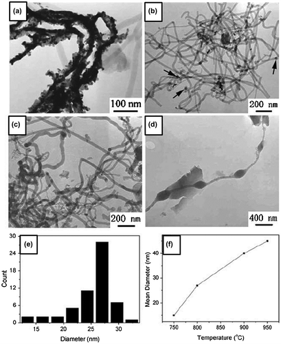 Figure 3. Size control of the diameter of amorphous boron nanowires in CVD method. TEM images of the boron nanowires synthesized at (a) 750 °C, (b) 800 °C, (c) 900 °C, and (d) 950 °C, respectively, while the thickness of the Au film catalyst was 5 nm. (e) A typical diameter histogram for the boron nanowires prepared at 800 °C. (f) Mean diameter of the boron nanowires as a function of temperature. Reproduced from Ref. [Citation111] by permission of SpringerVerlag.