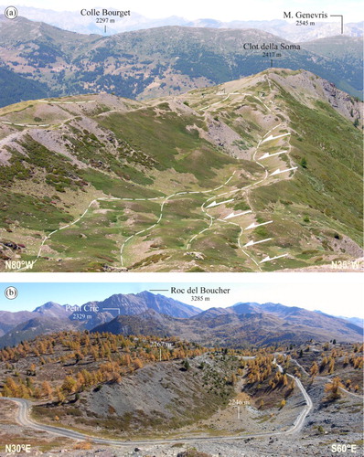 Figure 7. (a) Multiple-crested ridge along the Clot della Soma–Monte Morefreddo divide. The Chisone Valley is visible in the background. Photo taken from the NW ridge of Monte Morefreddo (2599 m a.s.l.), view looking NW. (b) Impressive closed depression (120 long and 15 m deep) along the eastern side of the Punta Rascià–Cima Saurel ridge, in the upper Susa Valley. Photo taken from Serre Granet (2294 m a.s.l.), view looking East.