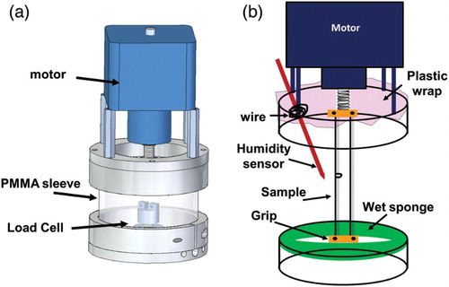 Figure 1. (a) In situ mechanical loading stage, and (b) schematic of in situ stage for SCC experiments in moisture. The PMMA sleeve is not shown in (b) to show the arrangements clearly.