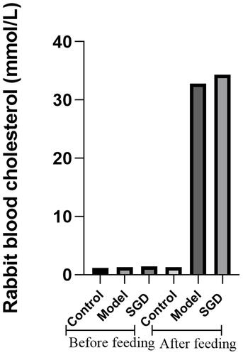 Figure 1 Serum total cholesterol concentration of the rabbits before and after modeling.