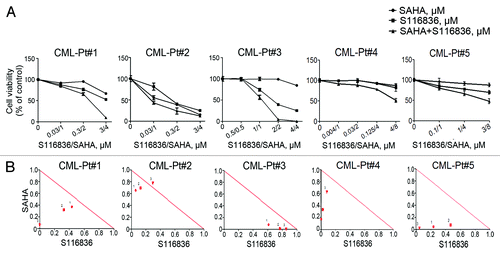Figure 5. The combination of SAHA and S116836 synergistically inhibits the cell viability in primary CML cells. (A) Peripheral blood mononuclear cells from 5 CML patients were treated with various concentrations of SAHA in the presence or absence of S116836 for 72 h, after which the cell viability of each agent alone and of combination was analyzed by the MTS assay. (B) The combination index (CI) about the viability of the cells treated with SAHA and S116836 was calculated with CalcuSyn Software.