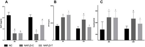Figure 2 (A) Effect of DPP4i on serum GLP-1 level in NAFLD mice. (B) Effect of DPP4i on serum DPP4 level in NAFLD mice. (C) Effect of DPP4i on serum insulin level in NAFLD mice. a: no significant difference between NAFLD-C (8w) and NAFLD-T group (8w); no significant difference between NAFLD-C group (8w) and NAFLD-C group (12w); NAFLD-C group (8w) vs. NC group (8w) P < 0.001. b: NAFLD-T group (8w) vs. NC group (8w) P < 0.001; NAFLD-T group (8w) vs. NAFLD-T group (12w) P < 0.01. c: NAFLD-C group (12w) vs. NC group (12w) P < 0.001; NAFLD-C group (12w) vs. NAFLD-T (12w) P < 0.05. d: NAFLD-T group (12w) vs. NC group (12w) P < 0.01. e: no significant difference between NAFLD-C (8w) and NAFLD-T group (8w); no significant difference between NAFLD-C group (8w) and NAFLD-C group (12w); NAFLD-C group (8w) vs. NC group (8w) P < 0.001. f: NAFLD-T group (8w) vs. NC group (8w) P < 0.001; NAFLD-T group (8w) vs. NAFLD-T group (12w) P < 0.05. g: NAFLD-C group (12w) vs. NC group (12w) P < 0.001; NAFLD-C group (12w) vs. NAFLD-T (12w) P < 0.01. h: no significant difference between NAFLD-T (12w) and NC group (12w). i: no significant difference between NAFLD-C (8w) and NAFLD-T group (8w); no significant difference between NAFLD-C group (8w) and NAFLD-C group (12w); NAFLD-C group (8w) vs. NC group (8w) P < 0.05. j: NAFLD-T group (8w) vs. NC group (8w) P < 0.05; no significant difference between NAFLD-T group (8w) and NAFLD-T group (12w). k: NAFLD-C group (12w) vs. NC group (12w) P < 0.01; no significant difference between NAFLD-C group (12w) and NAFLD-T group (12w). l: no significant difference between NAFLD-T (12w) and NC group (12w).