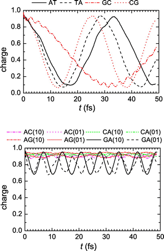 Figure 1. Net charge versus time for the monomer where the hole was initially placed: (upper panel) dimers made of identical monomers, (lower panel) dimers made of different monomers. The notation (10) means that the hole is initially placed at the 1st base pair of the dimer, while the notation (01) means that the hole is initially placed at the 2nd base pair of the dimer. The 6-31++G** basis set was used.