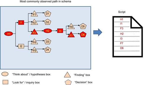 Figure 3 Script as a routinized pathway of previously used schema. D1: Decision No 1; D5: Decision No 6; F1: Finding No 1; F5: Finding No 5; H1: Hypothesis No 1; H2: Hypothesis No 2; I1: Inquiry No 1; I3: Inquiry No 3.