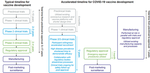 Figure 1. Accelerated timelines for the development and approval of COVID-19 vaccines.Citation1,Citation2,Citation4 COVID-19, coronavirus disease 2019.