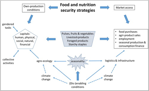 Figure 3. Factors affecting food and nutrition security in Shah Foladi. Source: authors.