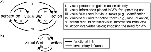 Figure 1. Schematic diagram of routes and influences between vision, visual working memory, and action. (a) Visual working memory here refers to the retention and manipulation of detailed visual information, such as shape and colour. Action refers to overt actions, including eye and hand movements, and encompasses action planning. Working memory is situated at the interface between past vision and future action; when direct route “I” is not feasible because relevant visual information has meanwhile disappeared from sight. Popular laboratory tasks of visual working memory have focused predominantly on route “III”, while research on perception and action has focused mostly on route “I”. This review focuses on routes “IV” and “V”. Route “VI” reminds us that our own actions are often the cause of why we need to rely on visual working memory (when our own movements render visual information “out of sight”). (b) This review is centred on concepts and insights gained from functional and involuntary links between visual working memory and (planned) action. “WM” stands for “working memory”; “perception” refers to “visual perception” within the context of this review.