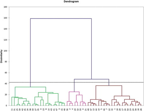 Figure 2. Dendrogram of the three major consumer clusters identified for 13 boiled Amaranthus samples.Figura 2. Dendrograma de los tres principales clústeres de consumidores identificados para las 13 muestras hervidas de Amaranthus.