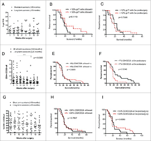 Figure 4. GBM patients with shorter overall survival have higher levels of CD4+CD28− cells. (Median values were used as a cut-off for Kaplan–Meier analysis). Long-term GBM survivors had lower levels of CD4+CD28− at 3 weeks after surgery. (A) γδ T-cell levels did not differ in GBM patients with longer or shorter survival. (B and C) Survival did not differ in patients with high vs. low levels of γδ T cells before and at 3 weeks after surgery. (D) Among GBM patients, short-term survivors had significantly higher levels CD4+CD28− cells 3 weeks after surgery than long-term survivors. (E) Survival did not differ in patients with high vs. low levels of CD4+CD28− T cell at baseline. (F) GBM patients with higher levels of CD4+CD28− cells have shorter overall survival than those with lower levels of these T cells. (G) CD8+CD28− T-cell levels did not differ in GBM patients with longer vs. shorter survival. (H and I) Survival did not differ in patients with high vs. low levels of CD8+CD28− cells at baseline and 3 weeks after surgery.