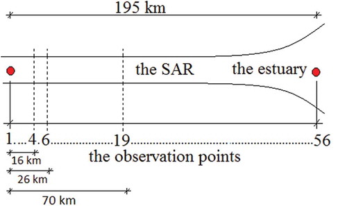 Figure 2. Schematic presentation of observation points 1–56 showing locations of domestic withdrawals (4), irrigation withdrawals (6), and drainage outfall (19).