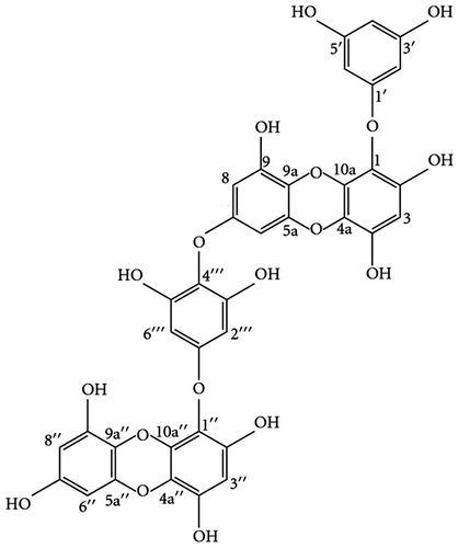 Fig. 1. Chemical structure of 8,4‴-dieckol from E. cava.