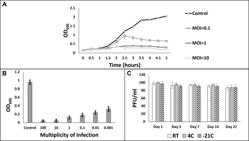 Figure 1 Phage-Bacteria co-culture assays. A: Bacterial growth curves at various MOI. B: Bacterial growth after 48 h of phage-bacteria co-culture. C: Phage stability test at various storage temperatures.