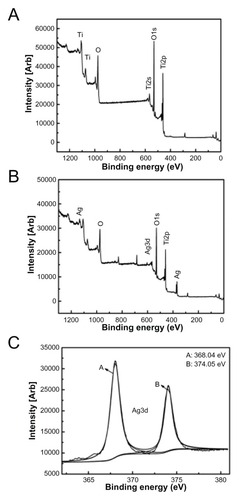 Figure 2 XPS full spectra of NT (A) and Ag-NT (B) surfaces, XPS Ag 3d spectrum of Ag-NT surface (C).Abbreviation: XPS, x-ray photoelectron spectroscopy.