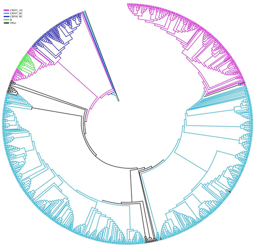 Figure 2. A phylogenetic analysis of the in gene.