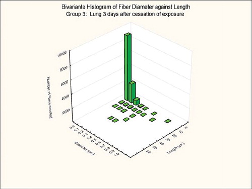 FIG. 10  Group 3, chrysotile and sanded material, bivariate length and diameter distribution measured of fibers recovered from the rat's lungs 3 days after cessation of the 5-day exposure.