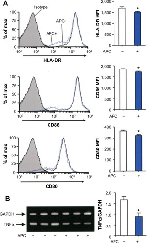 Figure 3 APC inhibits the maturation of human monocyte-derived DCs.