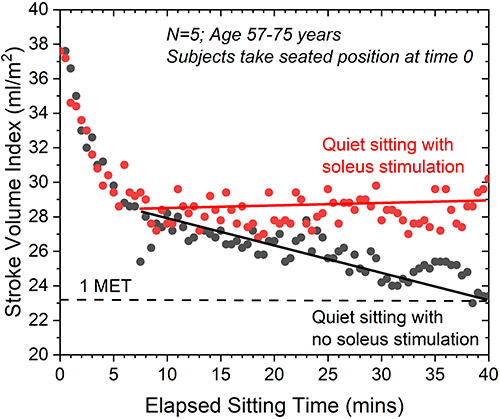 Figure 5 Stroke volume index (SVI) in five older adults (aged 57–68 years) following transition from a quiet standing to a quiet seated position, with (red) and without (black) soleus muscle stimulation. In the absence of muscle stimulation, SVI rapidly falls from 38 mL/m2 to 28 mL/m2, consistent with the reduced metabolic requirement of quiet sitting versus quiet standing. SVI then continues to fall for up to an hour, reaching an SVI of 23 mL/m2. Repeated with concurrent soleus muscle stimulation, SVI again demonstrates a rapid decline over the first 5–10 minutes, but then SVI slowly increases over the following 50 minutes. At the one-hour time point, SVI has risen to 29 mL/m2, a level sufficient to support an estimated 1.4 METs of metabolic activity. (Data from IRB approved clinical study executed at Binghamton University, Binghamton, NY).