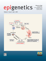 Cover image for Epigenetics, Volume 5, Issue 5, 2010
