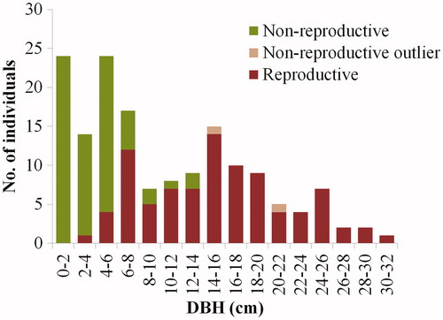 Figure 9. Proportion of reproductive individuals in each DBH class.