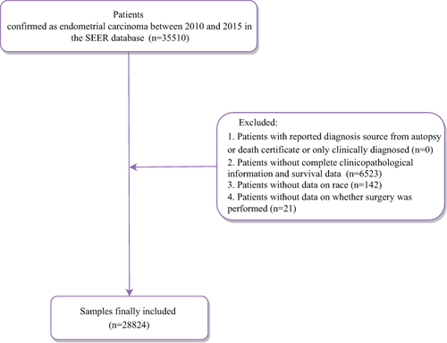 Figure 1 The screen process of the participants.