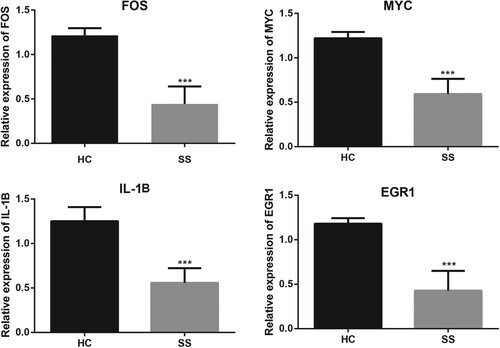 Figure 6. Validation of mRNA expression level of FOS, MYC, IL-1B, and EGR1 by qRT-PCR. *** P value < 0.001. qRT-PCR, quantitative real-time polymerase chain reaction.