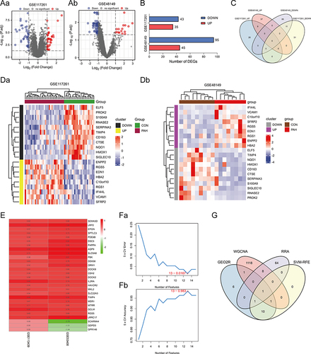 Figure 4 Identification of DEGs. (Aa and Ab) Volcano plots of DEG distribution in GSE117261 (Aa) and GSE48149 (Ab). Nodes in red represent upregulated genes, nodes in blue represent downregulated genes, and gray dots represent not significantly altered genes. (B) Number of DEGs in GSE117261 and GSE48149. (C) Venn diagram of DEGs from the two datasets. (Da and Db) Heatmaps of DEGs in GSE117261 (Da) and GSE48149 (Db). The legend on the top right indicates the log fold change of the genes. The horizontal axis represents each sample and the vertical axis represents each gene. Black (Grey) and yellow (purple) colors represent low and high expression values, respectively. (E) Top elements (red, upregulated; green, downregulated) available in input rankings correctly identified by RRA in GSE113439 and GSE53408. (Fa and Fb) SVM-RFE algorithm to screen diagnostic markers of GEO2R analysis genes. (G) Venn diagram showing the intersection of the critical signature obtained using the four strategies.