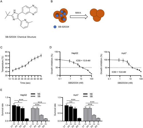 Figure 1. MWA combined with TGF-β1 inhibitor decreases survival rate of HCC cells. (A) Chemical structure of SB-525334. (B) Schematic illustration of MWA combined with TGF-β1 inhibitor (SB-525334). (C) Time temperature curve under 15 W MWA. (D) The IC50 value of SB-525334 was measured in HepG2 and Huh7 cells via MTT assays. (E) MTT assays to detect the role of MWA combined with SB-525334 in cell survival at different temperatures. Data were analyzed by one way analysis of variance followed by Tukey’s post hoc analysis and Student’s t test and expressed as mean ± SD of three independent experiments. *p < .05, **p < .01, ***p < .001 vs. NS (37 °C) group.