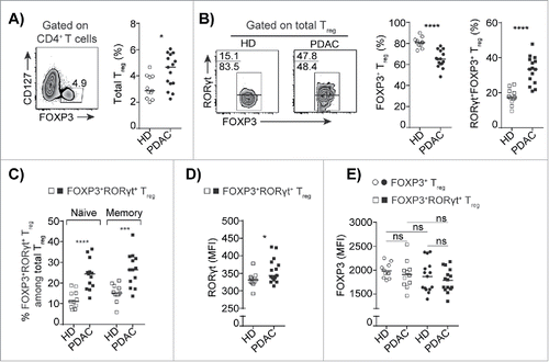 Figure 1. Increased frequency of FOXP3+RORγt+Treg in peripheral blood of PDAC patients. (A) A representative flow cytometry dot plot and compiled frequencies of CD4+FOXP3+CD127−Treg (total Treg) from PBMCs of HD and PDAC. (B) A representative flow cytometry dot plots and compiled frequencies of FOXP3+Treg and FOXP3+RORγt+Treg from PBMCs of HD and PDAC. (C) Percentages of FOXP3+RORγt+Treg in naïve (CD45RA+) and memory (CD45RA−) fraction of total Treg population from HD and PDAC PBMCs. (D) Expression level of RORγt in FOXP3+RORγt+Treg from PBMCs of HD and PDAC. (E) Expression level of FOXP3 in FOXP3+Treg and FOXP3+RORγt+Treg from PBMCs of HD and PDAC. HD (n=11) and PDAC (n=15). Horizontal bar represents median, each dot represents one patient. ns=non-significant, *p ≤ 0.05, ***p ≤ 0.001, ****p ≤ 0.0001.