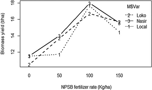Figure 9. The interaction plot of inoculated common bean varieties and NPSB blended fertilizer on biomass yield (t/ha).