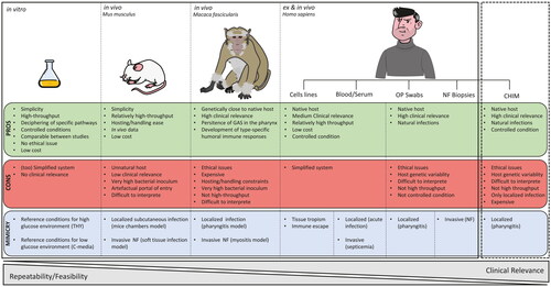 Figure 1. Models used to study GAS transcriptome. Advantages (PROS) and disadvantages (CONS) of current models (plain lines) used for GAS transcriptomic studies as well as the clinical manifestations there are reproducing (MIMICRY). Dash lines highlight that the more clinically relevant model for GAS transcriptomic studies is the challenge human infection model (CHIM). OP: oro-pharyngeal, NF: necrotizing fasciitis.