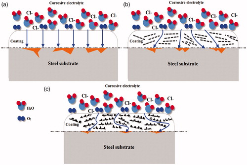 Figure 17. Proposed path of H2O molecules for corrosion protection in (a) neat epoxy, (b) epoxy/GO and (c) epoxy/GO–SiO2 hybrid composite.