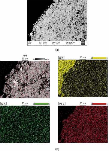 Figure 9. SEM of PbO particle cross-sections after 1000 h of exposure to LBE for oxygen control (a). Below is the EDS elemental mapping results (b).