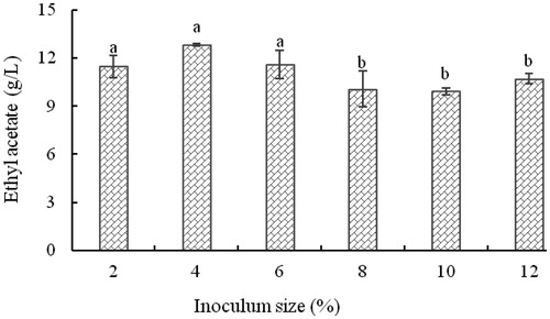 Figure 7. Effect of inoculum size on the concentration of ethyl acetate produced by yeast strain YF1503.