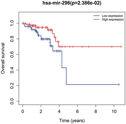 Figure 4. Patients with low miR-296 level had a poor clinical outcome. Based on TCGA database, the overall survival of miR-296 was analyzed by Kaplan–Meier.