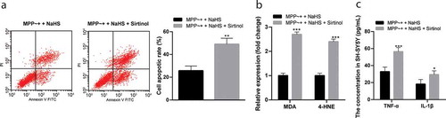 Figure 6. Sirtinol reversed the protective effect of H2S on SH-SY5Y cells induced by MPP~+. (a). cell apoptosis detected by flow cytometry; (b/c). the expressions of MDA, 4-HNE, TNF-α and IL-1β detected by ELISA. *p < 0.05, **p < 0.01 vs. the MPP~+ + NaHS group. Data in panel (a) were analyzed by t-test; data in panels (b) and (c) were analyzed by two-way ANOVA, followed by Tukey’s multiple comparisons test for post hoc test. Repetitions = 3.