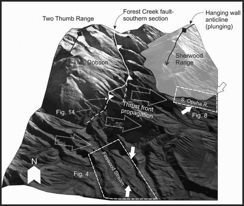 Figure 15. Northward view of the southern Forest Creek and Fox Peak Faults. The surface is a near-infrared band satellite image overlain on a 15 m digital elevation model with no vertical exaggeration. The location of Figure 14 is shown just below Mt. Dobson. Solid white arrows show principal fault traces of the Fox Peak Fault at the Cloudy Peaks terraces (Figure 4) and the South Opuha River (Figure 8). Inferred thrust front propagation direction shown by dashed white arrows. The Cloudy Peaks traces, which bound the Two Thumb Range, are inferred to be intermediary structures between the foreland propagating Forest Creek Fault to the west and Fox Peak Fault sections bounding the Sherwood Range to the north.